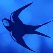 Cardiff City. Season ticket holder for 15+ years. Fantasy Premier League. Any CCFC FPL questions fire them my way! Current Rank: 5016 #FPL @CardiffCity_27