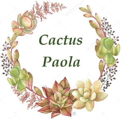 Cactus/Suculentas