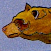 Hungry Bear (@benwebs96627814) 's Twitter Profile