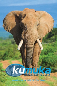 KumukaBlog's profile picture. A Blog written by our Tour Leaders who are exploring the world one adventure at a time