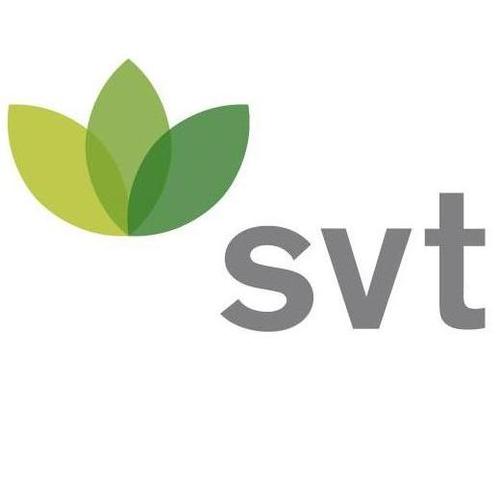 SVT Group