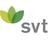 SVT Group