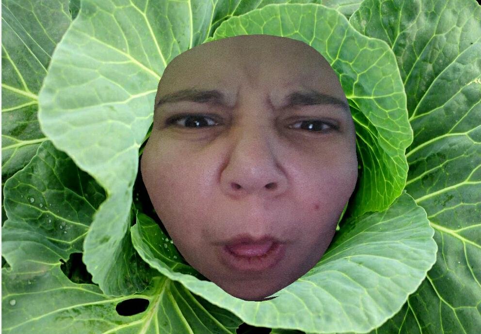 rnmoonshdw's profile picture. 