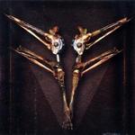 0Gh0stRid3r0's profile picture. 