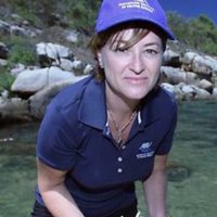 Cherie Motti (@taymot) 's Twitter Profile
