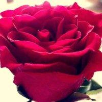 mobadel699 (@mobadel6991) Twitter profile photo