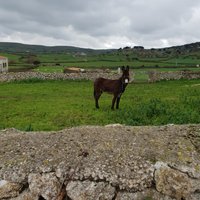 zoseppa (@zoseppa) 's Twitter Profile