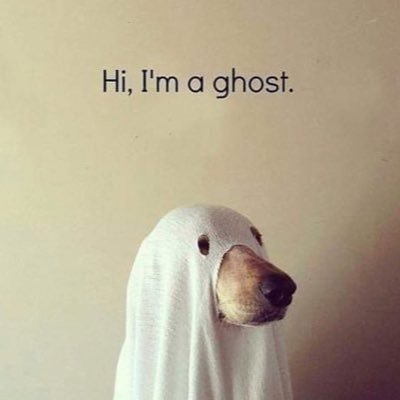 MusicalPercept1's profile picture. #Müzik #Edebiyat #Psikoloji #Felsefe #Jazz #Sinema #Tiyatro #Bilim #Sanat #Teknoloji #Kitap #Dergi #Sergi #Radyo #Evren #Belgesel