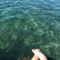 Melanie Bowden (@melaniebowden11) 's Twitter Profile