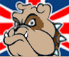 BritishBulld0g's profile image