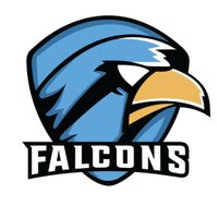 ToxicFalcons eSports (@toxicfalcons) 's Twitter Profile