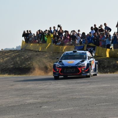 DezmanVi's profile picture. 