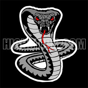 Snakers futebol club