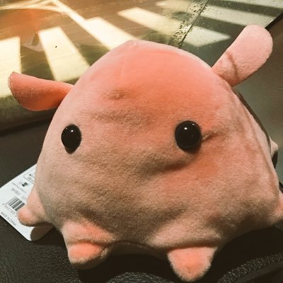 attu_4's profile picture. ほんだ→成東→千葉工大 これはメンダコです。最近モンストにハマってる