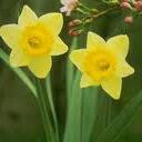 narciso sanchez - @narcisosanchezm - Twitter