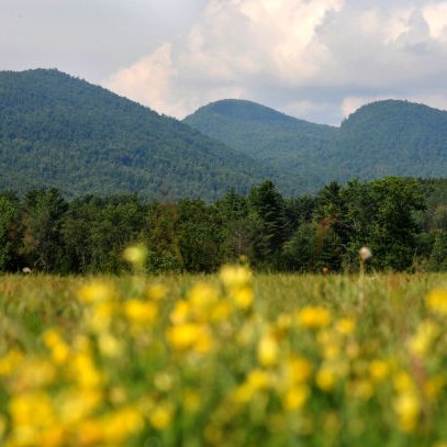 RRandal85222940's profile picture. Cybersecurity researcher