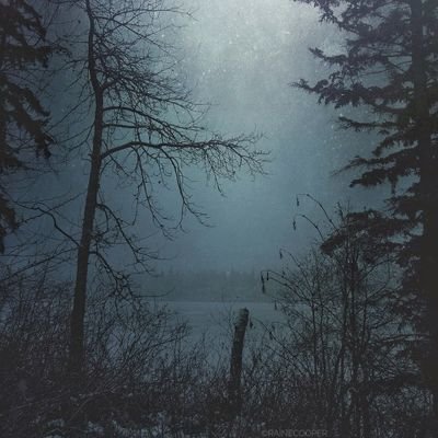 my soul moves as a flood searching for what can't be found.... searching for an empty lake to be filled