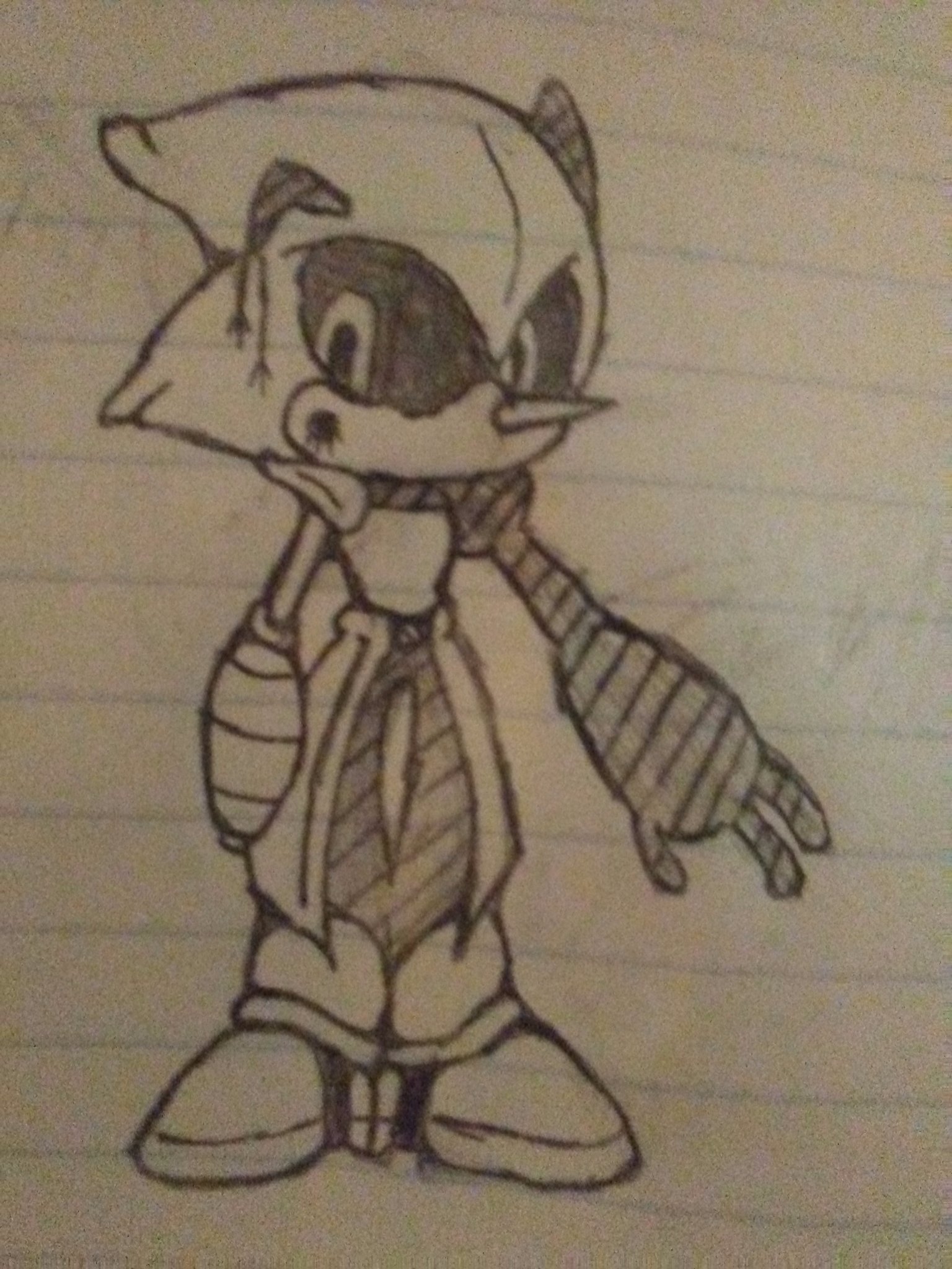 A universe hoping robot who's on a mission to destroy all parallel universe Sonics, and all who try to stop me.