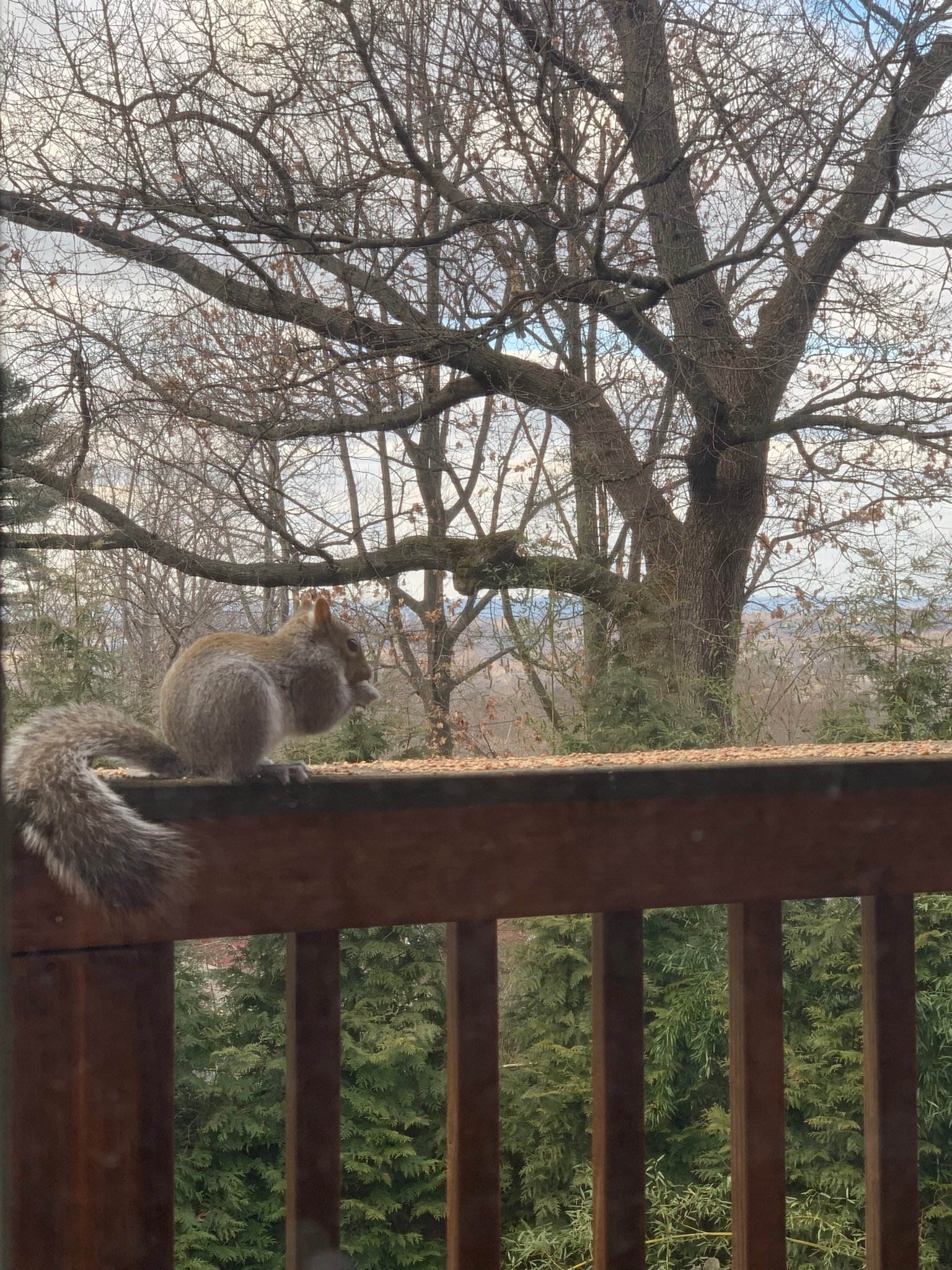 EasyEforEnglish's profile picture. Helping you with all your tutoring needs!!!