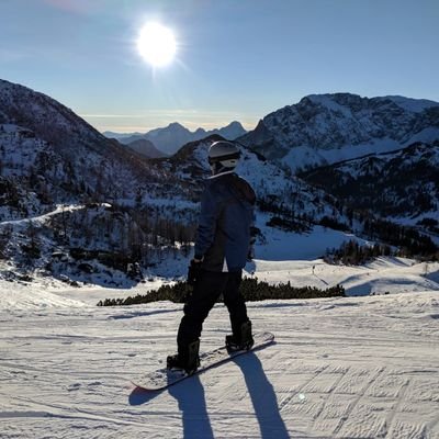 Scientist (behavioral/psych/neuro), writer, birdwatcher