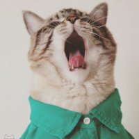 ŞT (@tiredofffff) 's Twitter Profile