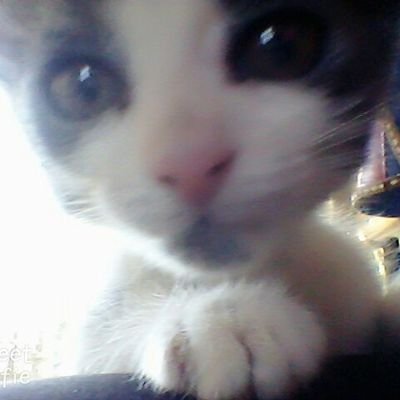 Xeneize190504's profile picture. ✨   De qué sirve tener tantos pájaros en la cabeza si ninguno sabe volar✨

💕🇵🇾
A la deriva 🛶