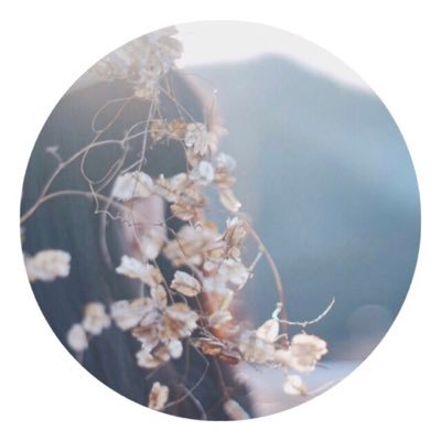 _watashichan's profile picture. nanoloop music since 2014