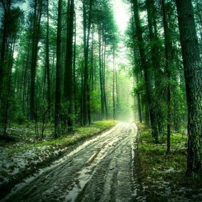 H_ello_man's profile picture. 