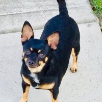 Katherine Rae (@genjerspice) 's Twitter Profile