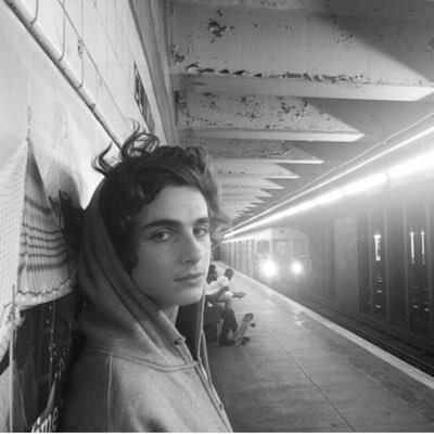 i just really like timothée chalamet.