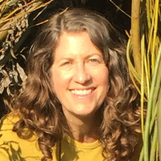 lindagassart's profile picture. Environmental artist and activist. textile, glass & community engaged land art installation. @lindagassart@mastodon.social