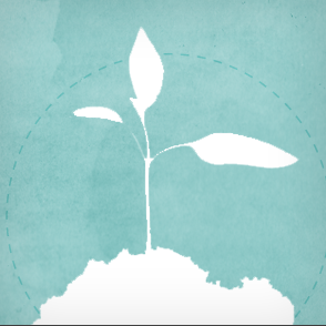 canopynetwork Profile