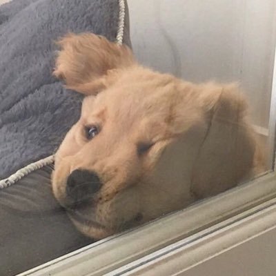 먐さんのプロフィール画像