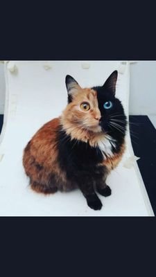 lodkQYCBs7OQuIF's profile picture. 