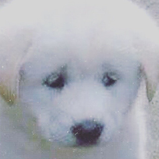 BauzonNyokee's profile picture. Honest/🖕🏾