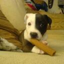 Jacqueline Murphy - @Jac_murphy - Twitter