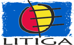 Litiga, Organización de Litigio Estratégico de Derechos Humanos A.C.