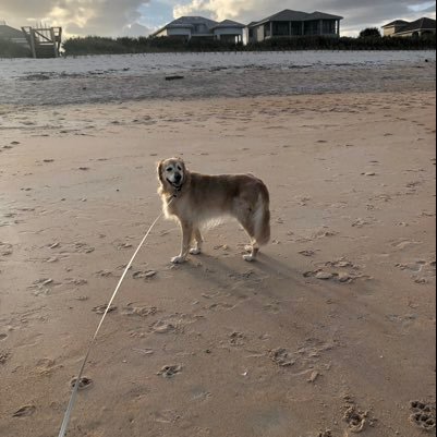 LessThanDriver's profile picture. Resident of Florida. Former Resident of Baltimore. Gator Fan. Can’t play golf enough.