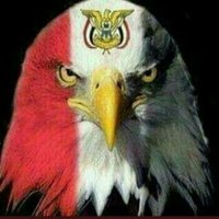 النمر اليماني🇾🇪 (@o4tmttjsnlffolg) 's Twitter Profile