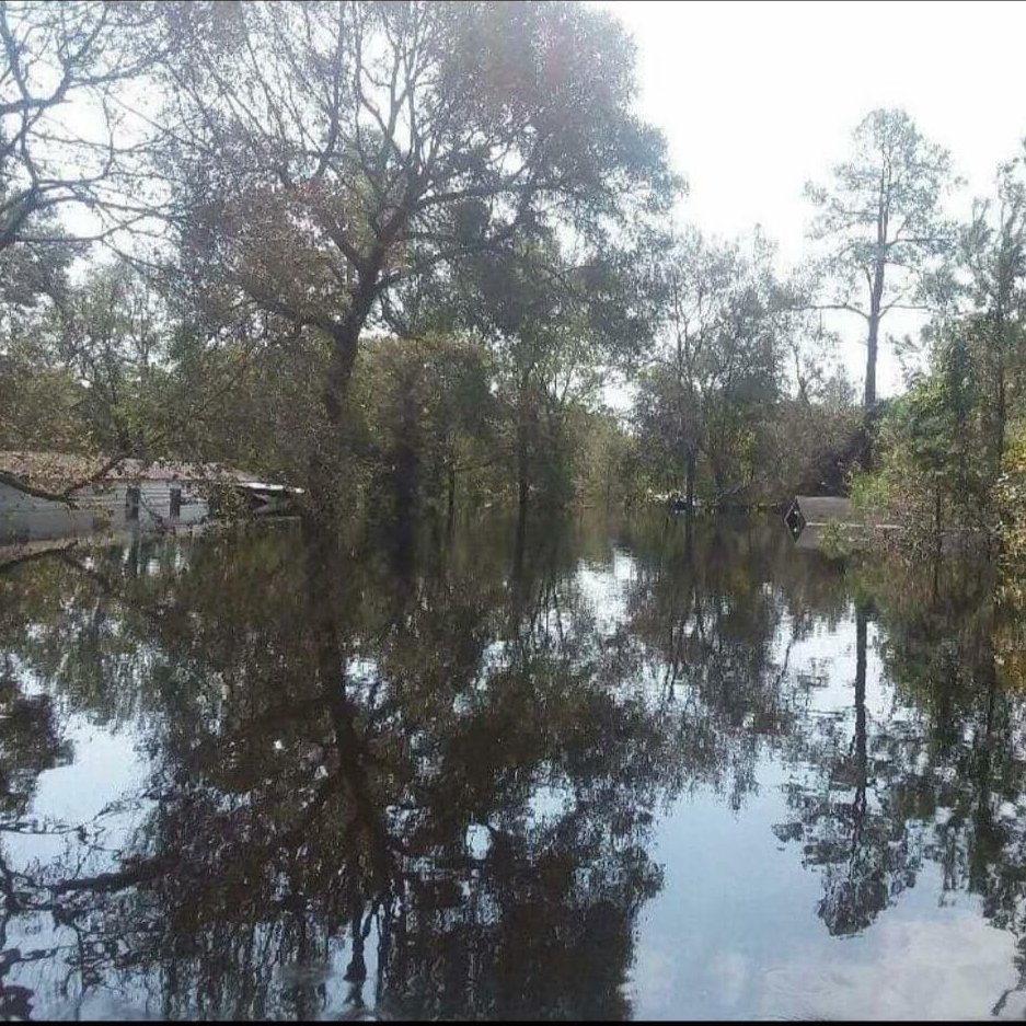 AfterFlorence's profile picture. Lost my home and everything I had to hurricane Florence. I faced my worst fear. Still in recovery mode, but by the Grace of God, I'll be just fine.