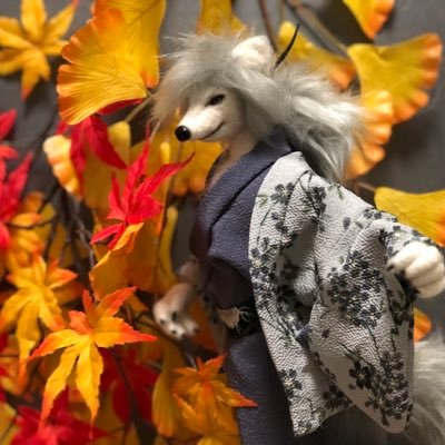 ぬ〜き〜さんのプロフィール画像