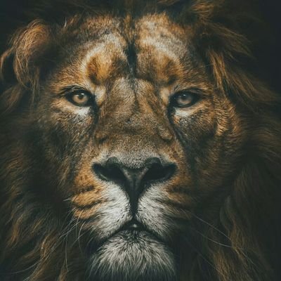 To every man is given the key to the gates of heaven
The same key opens the gates of hell.
Software Engineer. Open to a healthy progressive discussion.