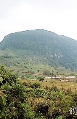 DukMontemayor's profile picture. Alumno cursando la preparatoria , logró es tener o terminar la carrera