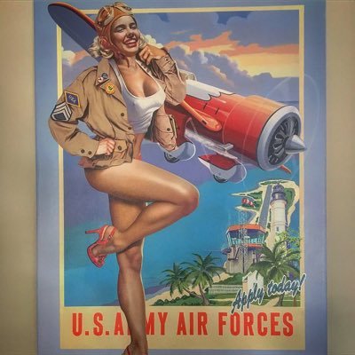 Plastic and resin model kit enthusiast with a passion for militaria and comic undertones. A lover of unique art and sexy pinups as well