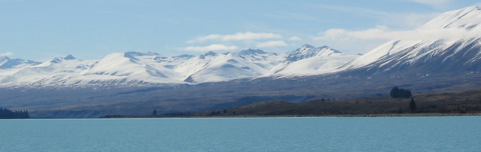 w3d3d3dcokr's profile picture. 