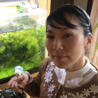 田平まゆみ（She/Her）(@mayumi_tahira) 's Twitter Profile Photo