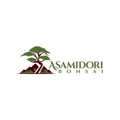 Asamidori Bonsai