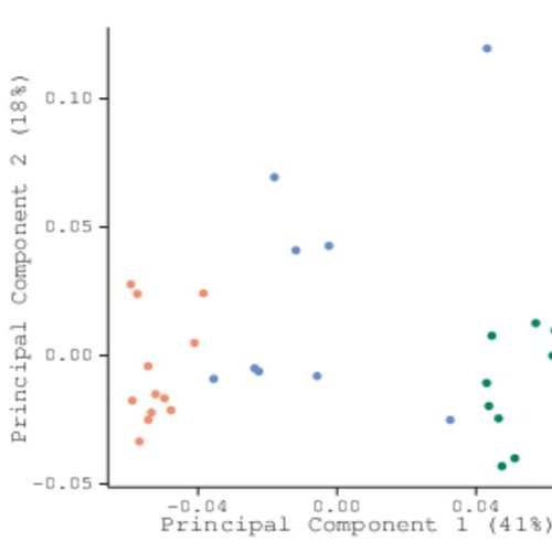 Science; Biosciences; Bioinformatics; Immuno-informatics; genomics and NGS data analysis; Data science; Computer programming and software development;