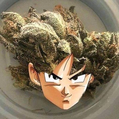 IzaqueKevin's profile picture. 