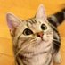 SAM.jp (@fwpd3370) Twitter profile photo SAM.jp (@fwpd3370) Twitter profile photo